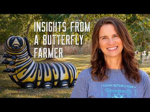 Inside an Oklahoma Butterfly Farm That’s Saving More Than Butterflies