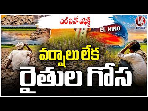 El Nino Effect Lack of Rainfall Leaves Telangana Farmers in Distress | V6 News - V6NEWSTELUGU