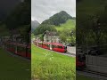 مشهد خيالي لقطار يسير وسط طبيعة أبنزل الخلابة سويسر ا Apenzell Shorts SwissNature 
