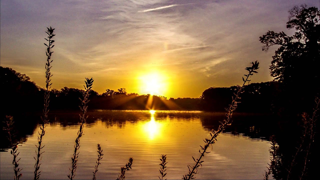 MindlessFate - Everlasting