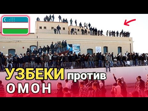 Video: Turli sabablarga ko'ra Meksikada yashashga qaror qilgan rus va boshqa mashhurlar