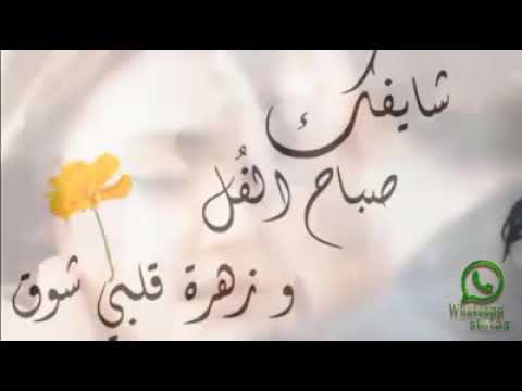 شايفك نسيم البحر في وسط الظهر ضوء