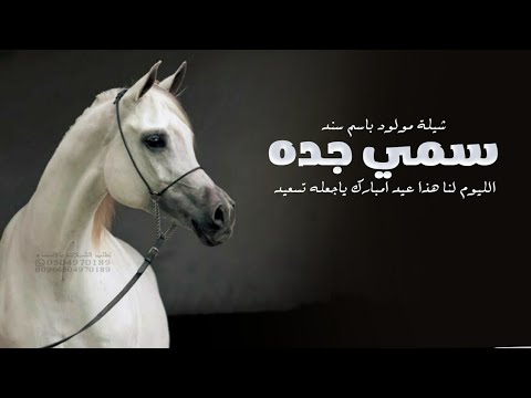 شيلة مولود سمي جده باسم سند الليوم لنا هذا عيد شيلة سمي جده جديد