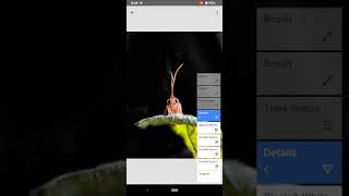 Photo stacking in mobile/ snapseed screenshot 1