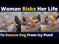 OMG! woman risks life to rescue dog from icy pond video goes viral
