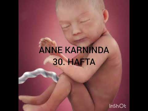 30.HAFTA GEBELİK. HAMİLELİKTE 30. HAFTA. 30 HAFTA GEBELİK. HAFTA HAFTA GEBELİK. BEBEK GELİŞİMİ