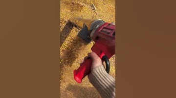 Multifunctional grain extractor. Eight tons per hour length can be selected. Pump food.