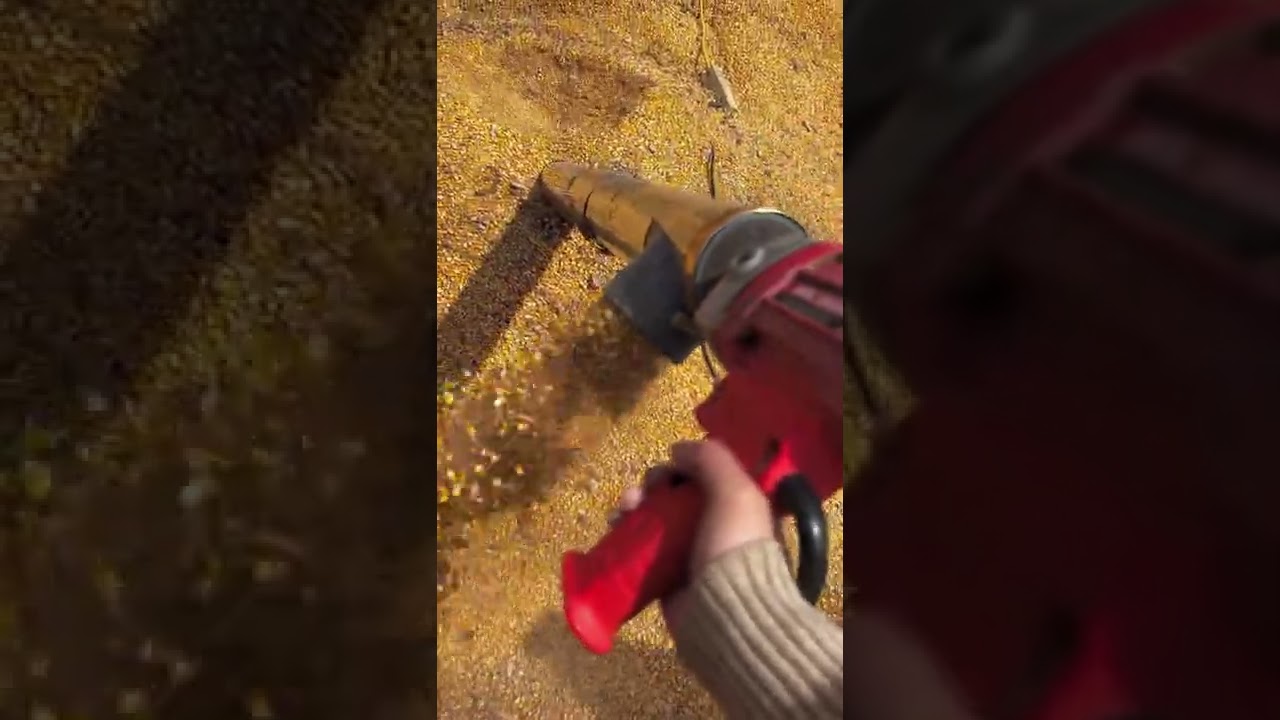 Multifunctional grain extractor. Eight tons per hour length can be selected. Pump food.