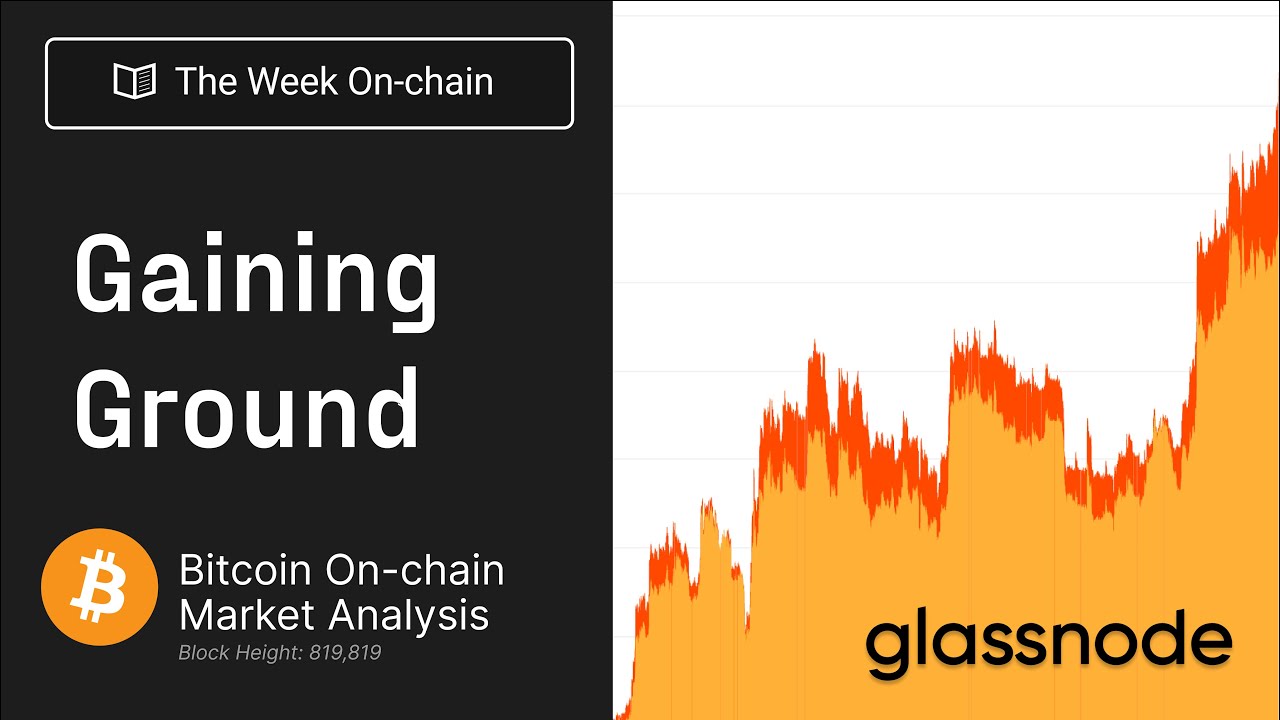 Bitcoin is Gaining Ground - The Week On-chain 49, 2023 (Bitcoin Onchain  Analysis)