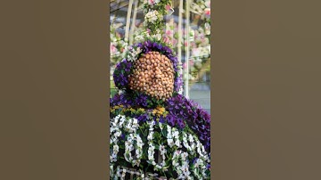 Just trying the AI Bloom 🌺 #ai #bloom #youtubeshorts #vfx #aiart #3d #art #shorts