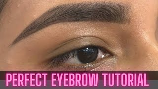 PERFECT EYEBROWS TUTORIAL| For Beginners | Everything you need to know