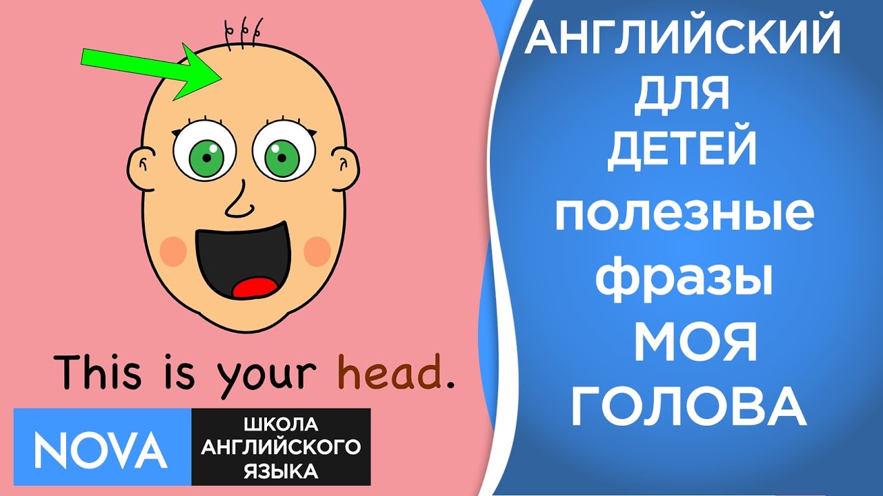 Голова на английском языке. Нога на английском языке. Части ноги на английском. 4 Ноги на английский языке. Песня стоп английская