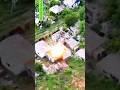 Drone Molniya-2 Explode House in Chasov Yar 🇷🇺