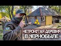 Самая сохранившаяся деревня в Чернобыле. Все вещи в заброшенных домах лежат уже 35 лет. Нашел тайник