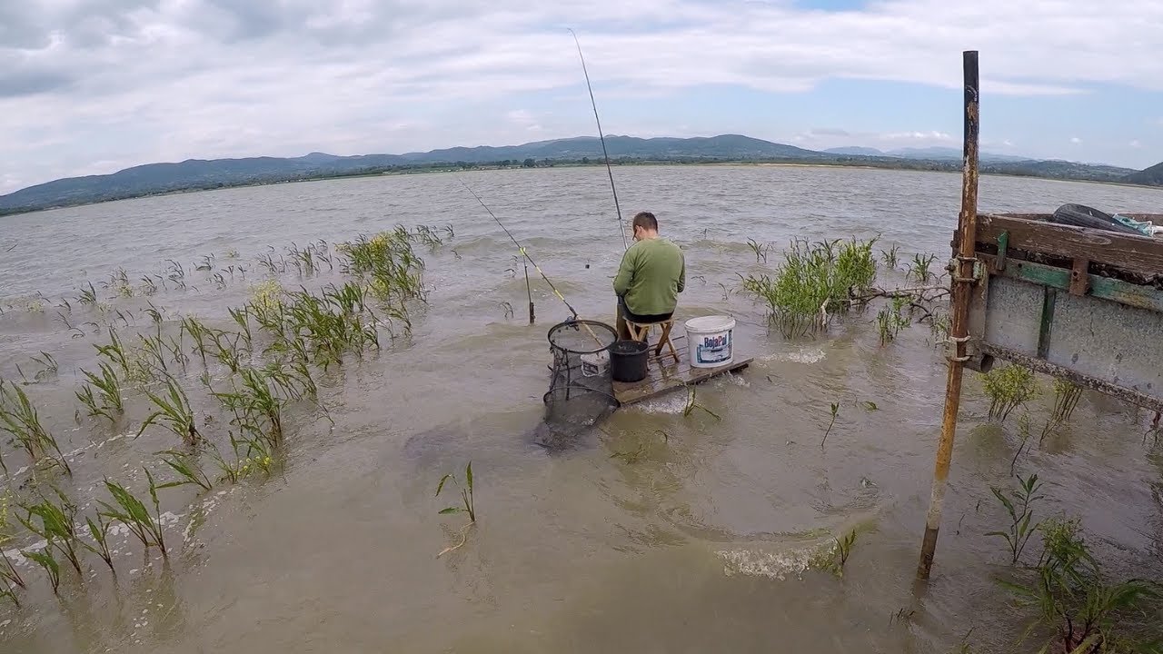 Feeder pecanje na Gruzanskom jezeru 2022