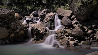 Healing Music For The Soul - Water Sounds - Relaxing Music to Relieve Depression, Stress, Anxiety