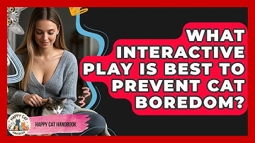 What Interactive Play Is Best To Prevent Cat Boredom? - Happy Cat Handbook