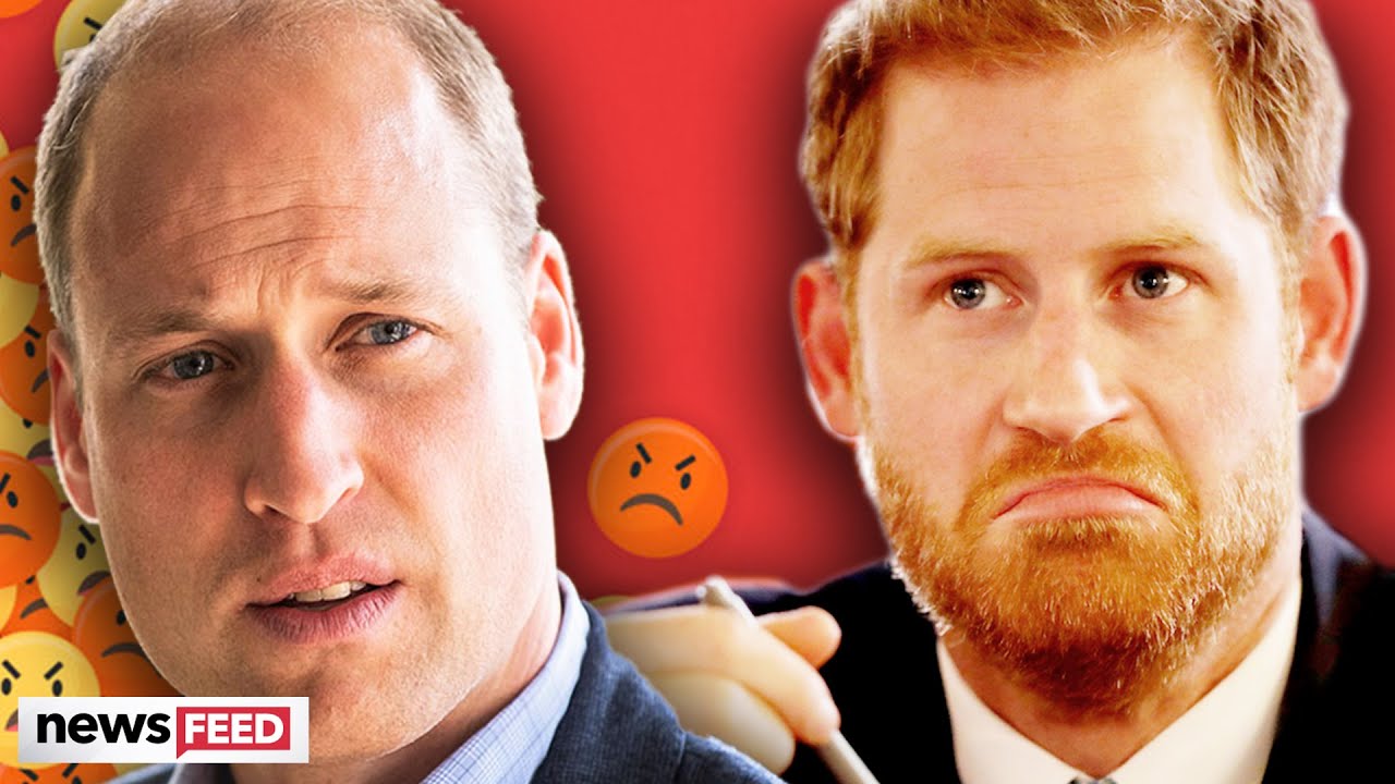 New Details On Harry & Prince William's 'Very UGLY' Feud Revealed!