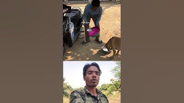 Humanity (1) 😎❤️ Sigma rule | inspirational quotes | motivational quotes #shorts #motivational