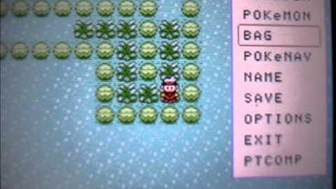 Pokemon on Petit Computer UNFINISHED