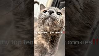 My Strongest Cookies