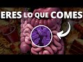 Las bacterias de tu intestino afectan a tu cerebro