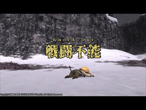 【FINAL FANTASY XI】Blackout（戦闘不能）1ループ（1ループ目、レベルダウン音有り）