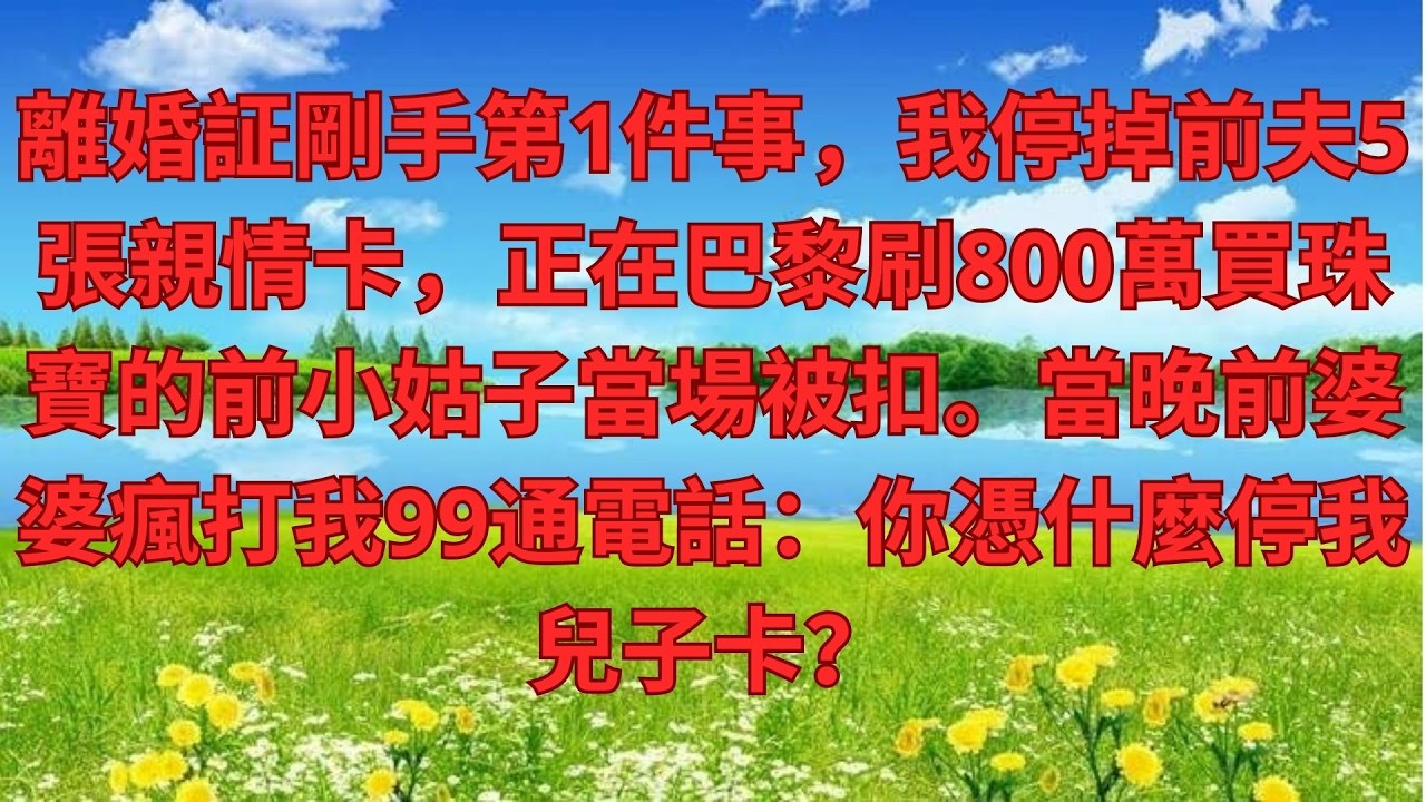 離婚証剛手第1件事，我停掉前夫5張親情卡，正在巴黎刷800萬買珠寶的前小姑子當場被扣。當晚前婆婆瘋打