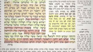 מסכת קידושין דף מ"א 41
