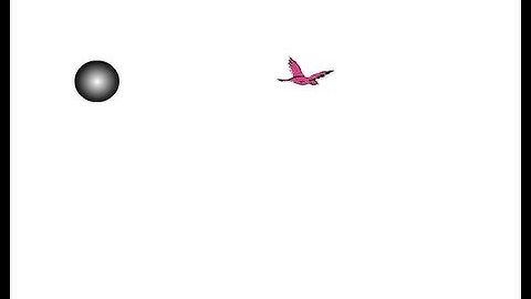 Flash Animation of Bird Flying
