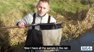 Benthic macroinvertebrate kick-sample procedure in Myanmar rivers