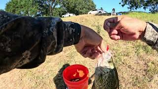 Crappies fishing lake San Ontonoi