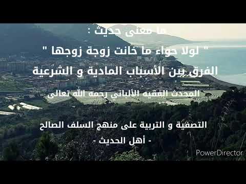 ما معنى حديث لولا حواء لم تخن أنثى زوجها الشيخ الألباني رحمه الله تعالى