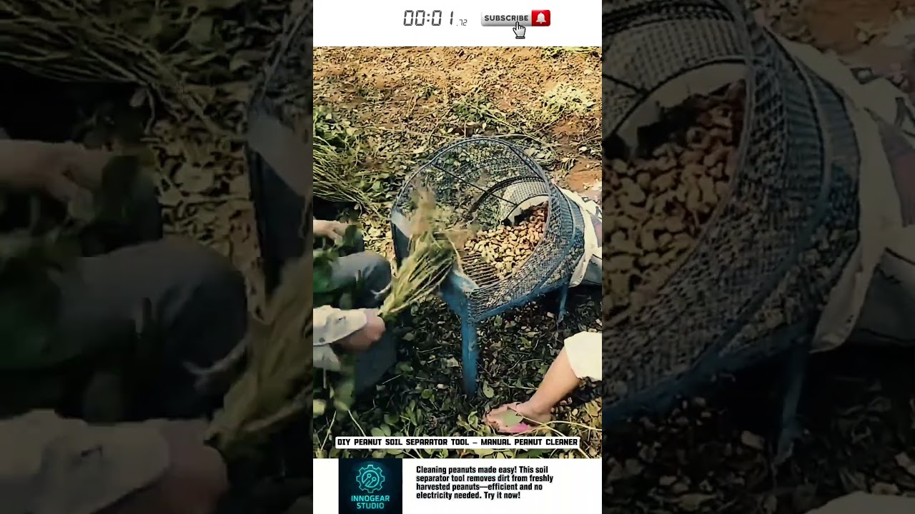 DIY Peanut Soil Separator Tool – Manual Peanut Cleaner