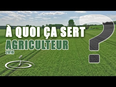 Miniature de la vidéo Je suis agriculteur céréalier, à quoi sert mon métier ? - 2016