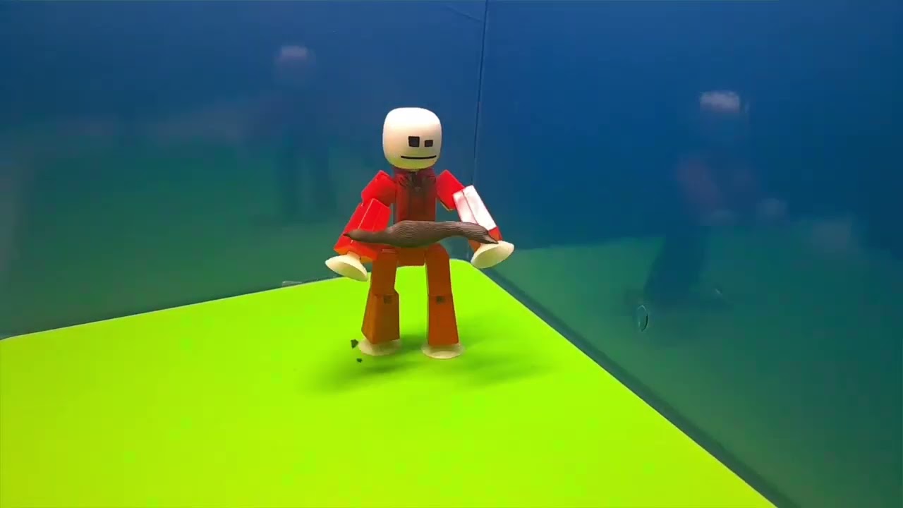 The stikbot migration