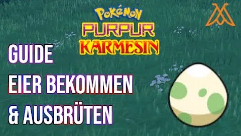 Wie bekommt man ein Pokémon Ei?