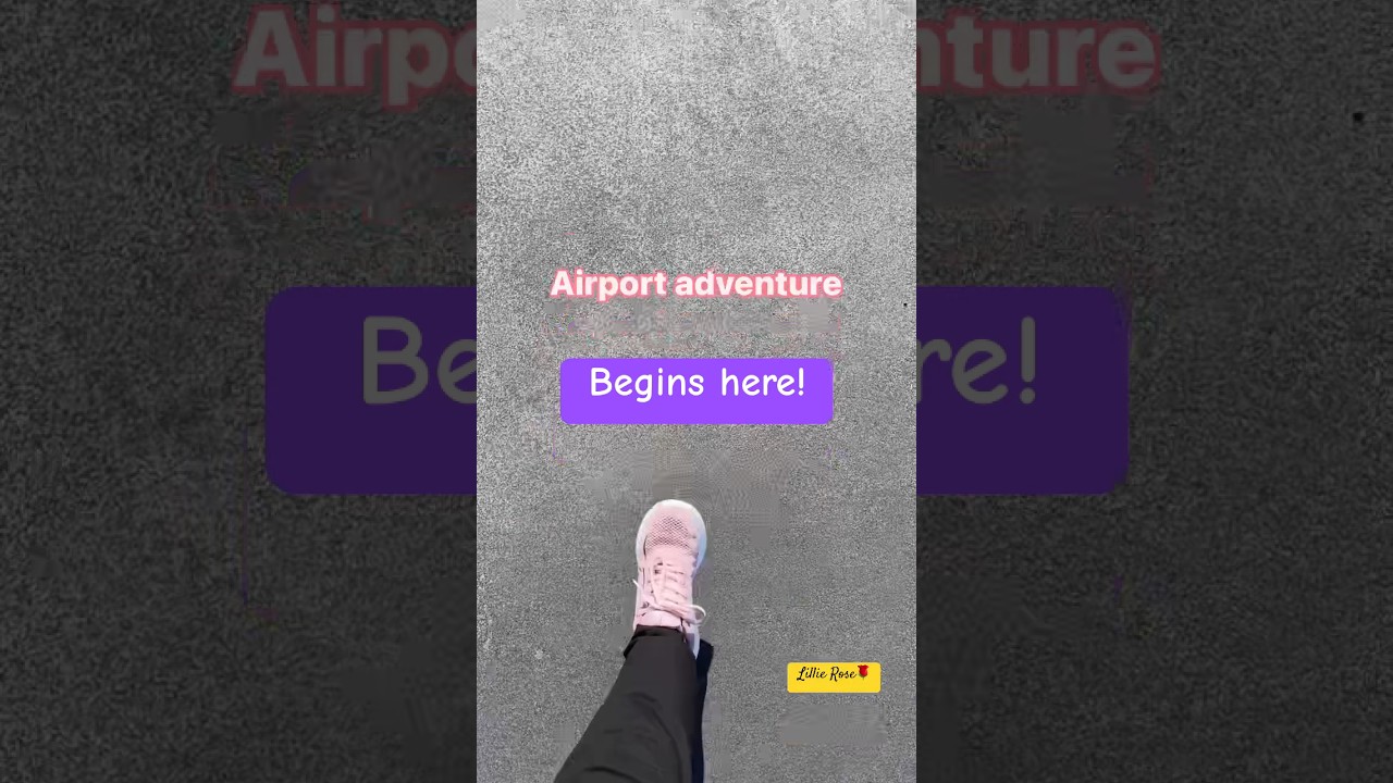 Giant Airport, Tiny Plane: Is It Real or Just a Trick of the Eye? 