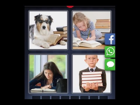 4 images 1 mot solution 8 lettres chien pigeon