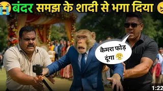 Monkey Wedding Crashers - The Primate Party Plunderers