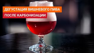 Дегустация Вишневого Пива После Карбонизации Соком По Второму Рецепту. Это Фиаско Братан 😭