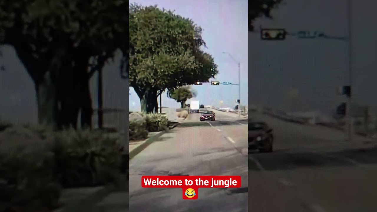 Водитель, ехавший по встречной полосе, едва не стал причиной разрушительной аварии 