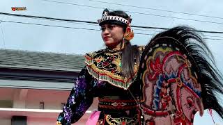 Download Lagu Pesona Cantik Jaranan Senterewe Putri (SATRIO WAHYU MUDHO) Sidomulyo Gondang Tulungagung L-sha Audio MP3