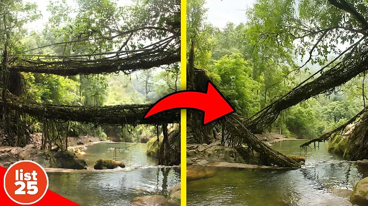 100 Oddly Interesting Facts That Will Make You Wonder