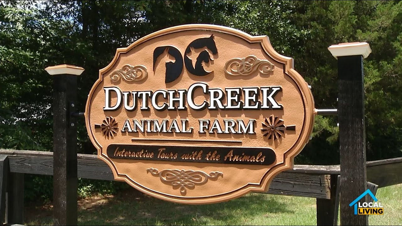 Local Living S3E25 - Dutch Animal Farm