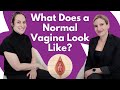 What Does A Normal Vagina Look Like OBGYNs Explain Vaginal Health Anatomy 