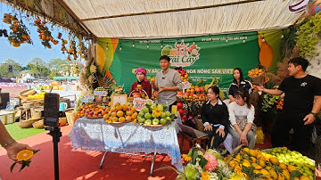 Phiên Live Lễ Hội Hoa Quả Bắc Ninh 2025