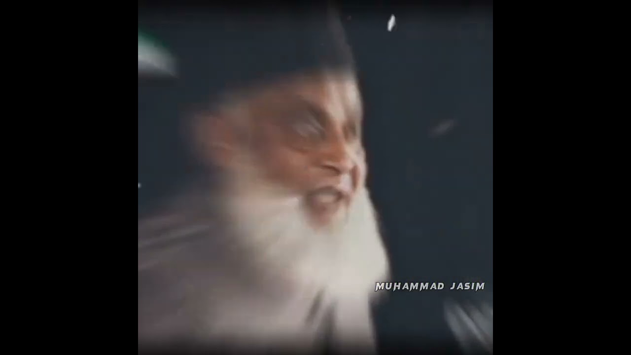 liberal Muslims.                    hehe let's reform islam