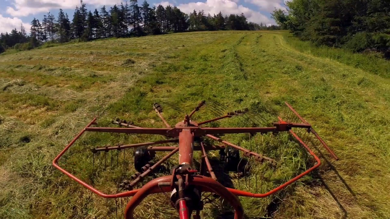 Raking with the Massey 135 and Kuhn Rake - YouTube