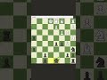 How many blunders can you number? #chess